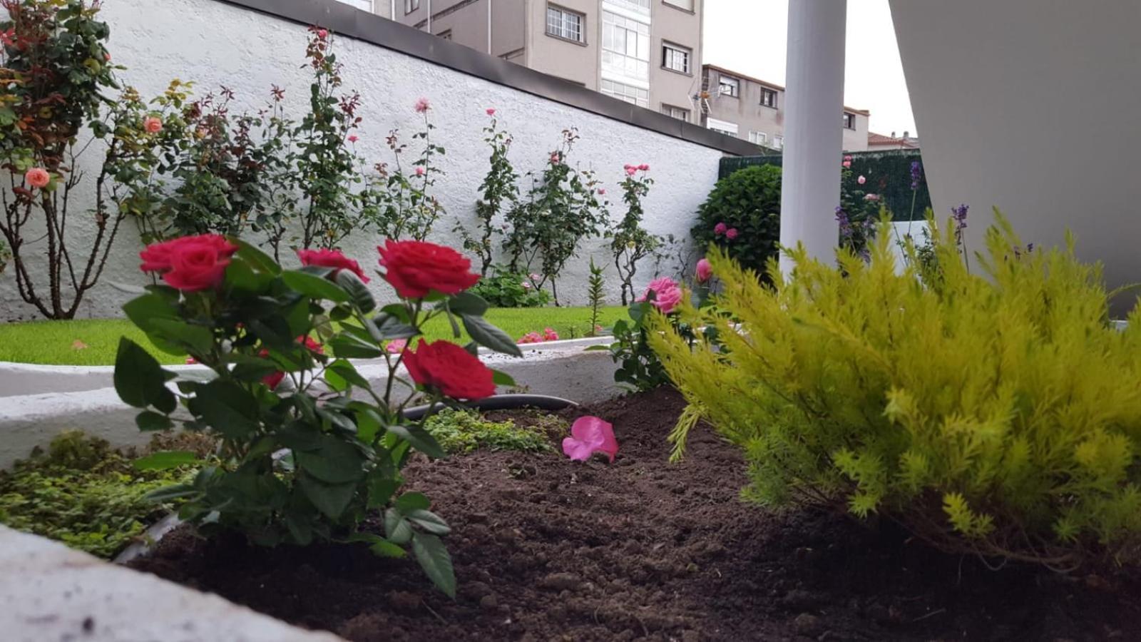 Apartamentos Turisticos Arosa Ogrove 格罗韦 外观 照片
